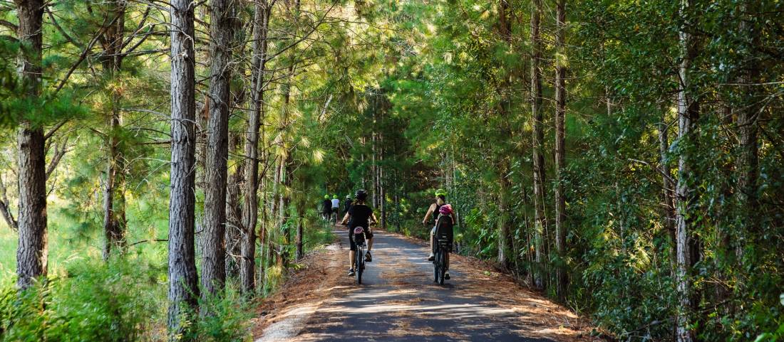 Exploring the Northern Rivers Rail Trail by bike