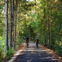 Exploring the Northern Rivers Rail Trail by bike