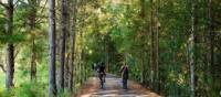 Exploring the Northern Rivers Rail Trail by bike