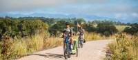 Cycling the Northern Rivers Rail Trail