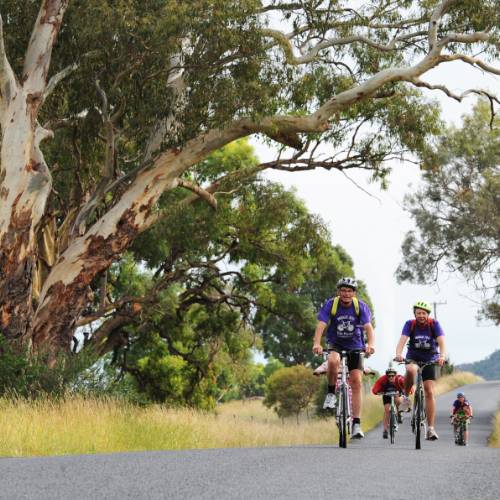 hunter valley cycling tour