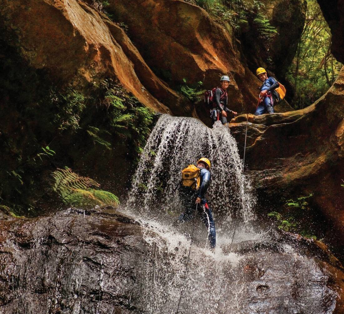 Spectacular Empress Falls in the Blue Mountains |  <i>David Hill</i>