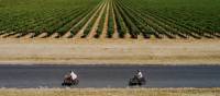 Cycling around Mudgee's vineyards on a bike tour