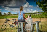 Enjoy a glass of wine at Naked Lady Wines |  <i>Tim Charody</i>