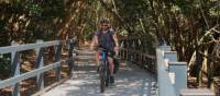 A cyclist on the Coastal Cycle Path between Pottsville and Kingscliff | Erin Wileman