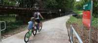 Cyclists using a tag-a-long bike on the Northern Rivers Rail Trail | Erin Wileman