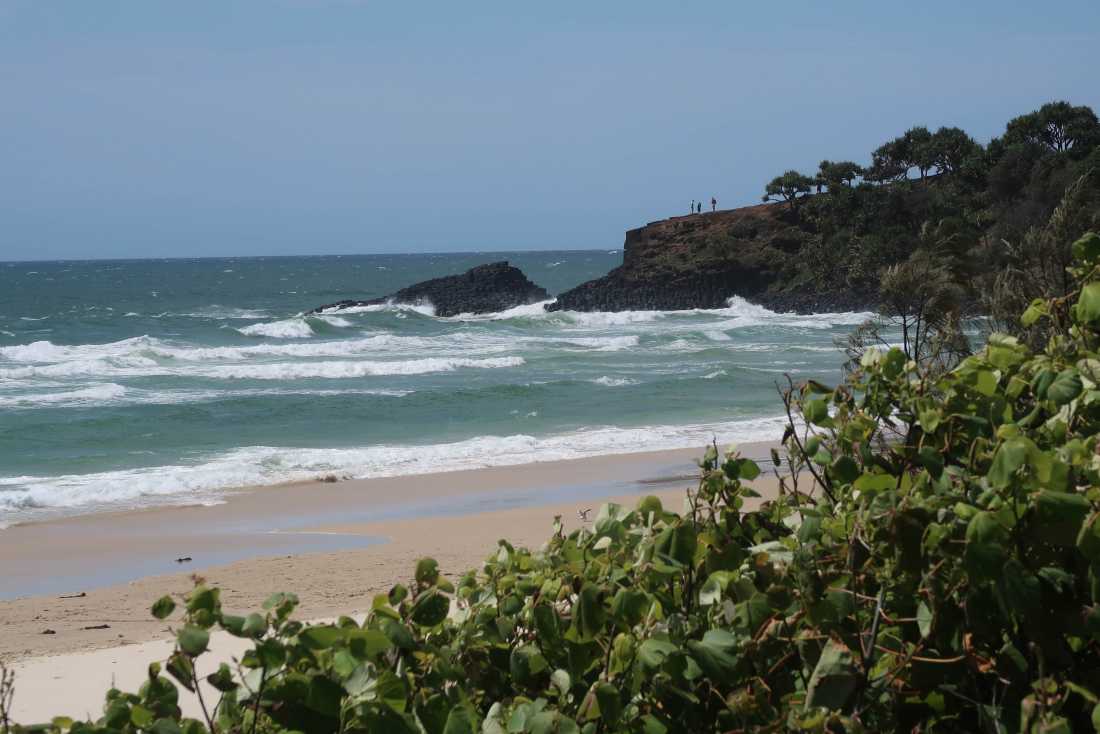 Cycle to Fingal Head for a swim and walk around the headland | Erin Wileman