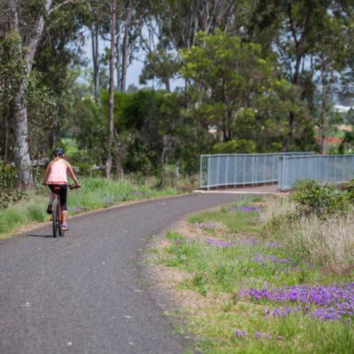 Bike shop clovelly discount road