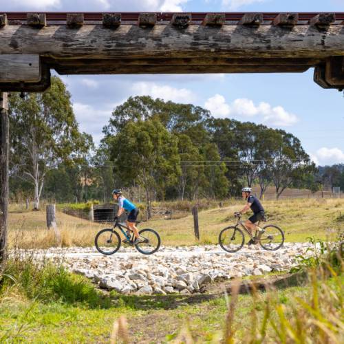 Best bike for rail trails sale