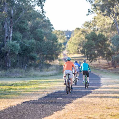 Best bike for rail 2025 trails