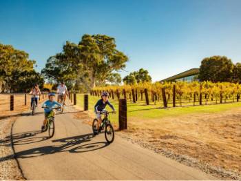 barossa winery bike tour