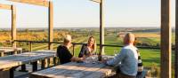 Vineyard with a view in East Gippsland