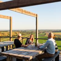 Vineyard with a view in East Gippsland