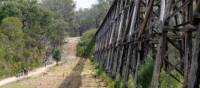 The East Gippsland Rail Trail in Victoria | Jessica Shapiro