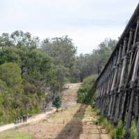 The East Gippsland Rail Trail in Victoria | Jessica Shapiro