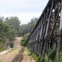 The East Gippsland Rail Trail in Victoria | Jessica Shapiro