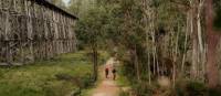 Cycle by the iconic Stony Creek Trestle Bridge