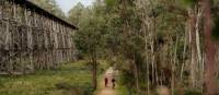 Cycle by the iconic Stony Creek Trestle Bridge