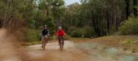 Explore Gippsland & the Snowy River National Park by bike