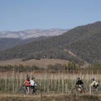 Cycling Victoria's alpine bike paths | Ride High Country