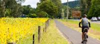 Cycling along bike-friendly paths in Victoria's High Country | Ride High Country