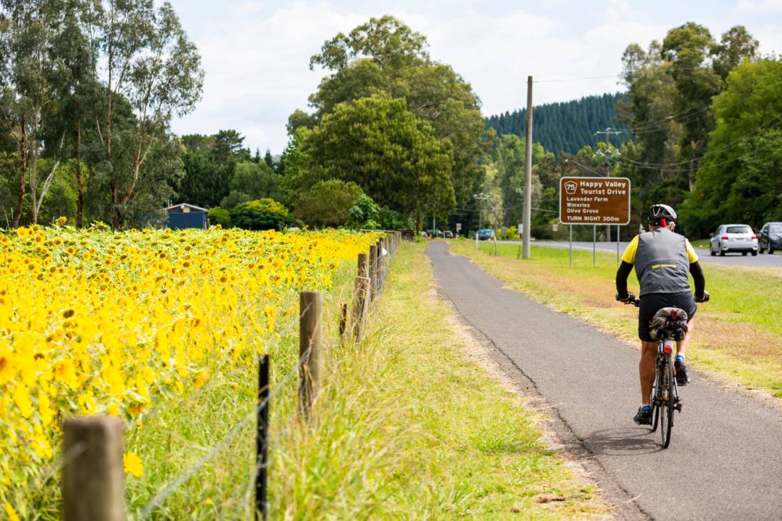 Cycling along bike-friendly paths in Victoria's High Country |  Ride High Country