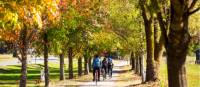 Cycling towards Feathertop Wines in Victoria | Ride High Country