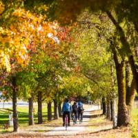 Cycling towards Feathertop Wines in Victoria | Ride High Country