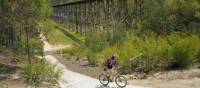 Ride by the Stony Creek Trestle Bridge | Ride High Country