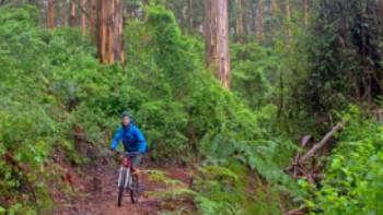 Munda Biddi Trail | Andrew Bain