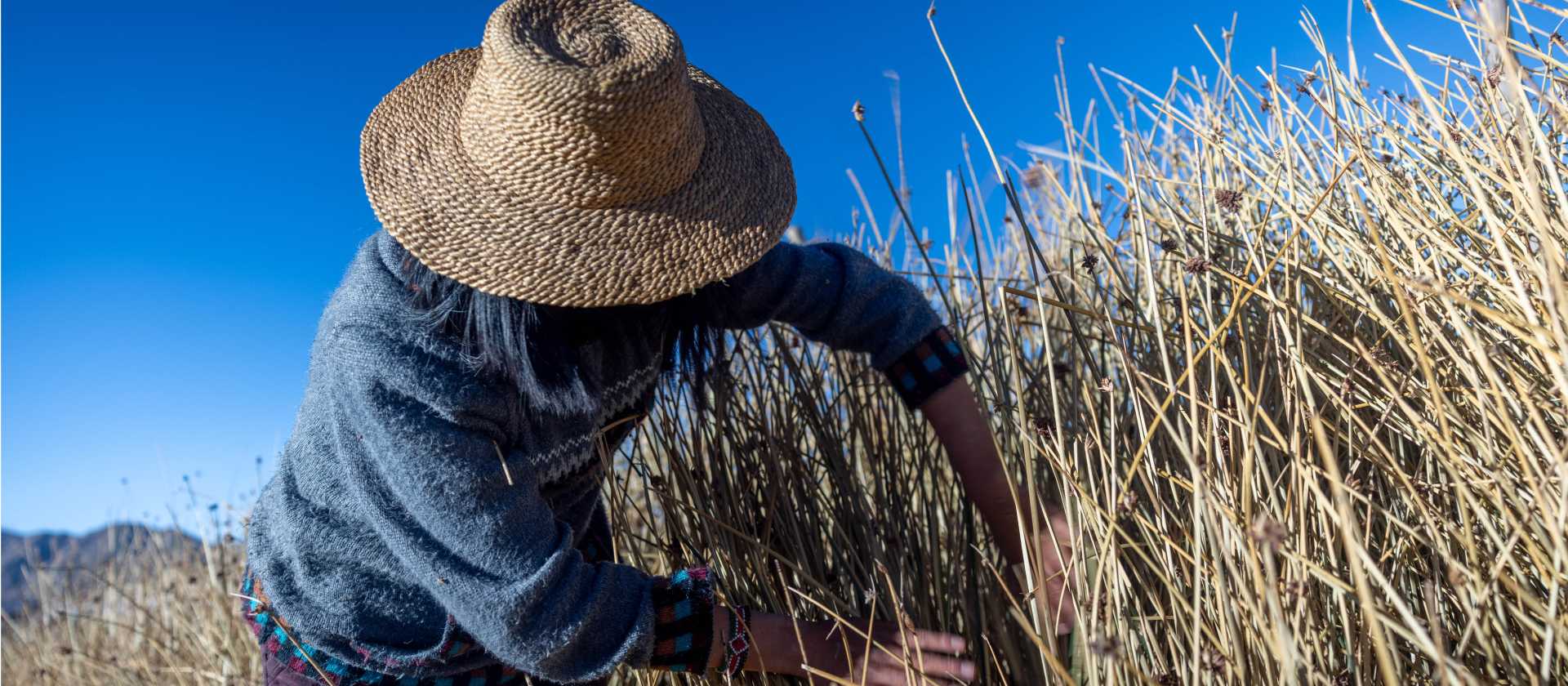 Restore important wetlands & Uru Uru Lake