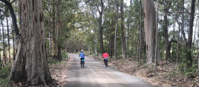 Country lanes on the South Coast Cycle | Kate Baker