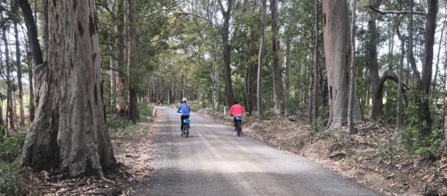 Country lanes on the South Coast Cycle | Kate Baker