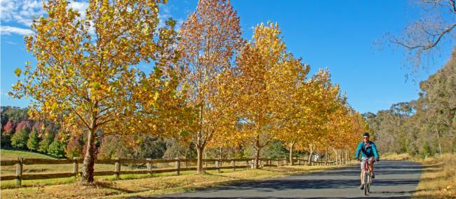 Southern Highlands | Andrew Bain