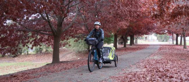 Cycle through tree-lined paths on the Murray to Mountains Rail Trail | Erin Williams