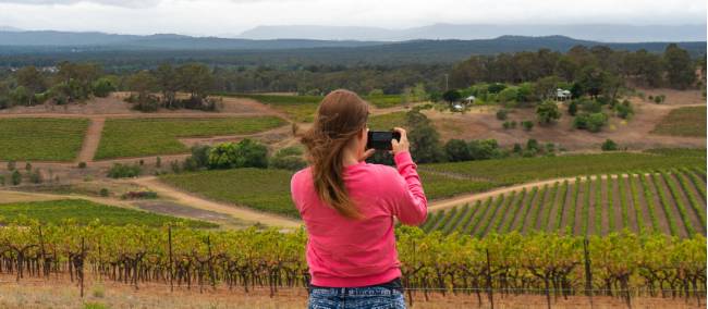 Discover the gorgeous Hunter Valley vineyards