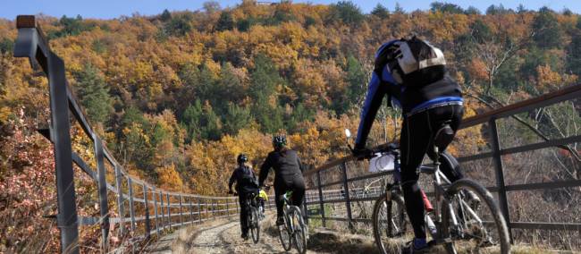 Cycling the Parenzana Rail Trail